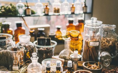 Adaptógenos: claves naturales para un mayor bienestar